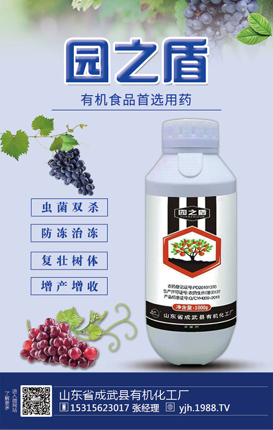 �J�S���ʩ�����J�S��ʲô���Ϻã��J�S������c��ע�������