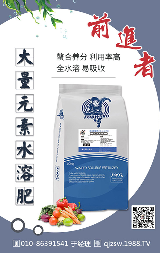 柑橘肥害有哪些癥狀，如何預(yù)防補救柑橘肥害司