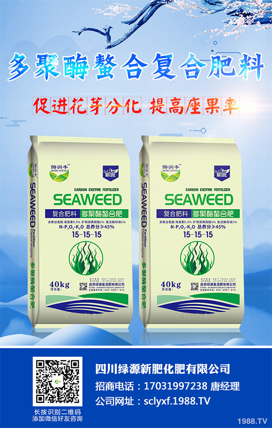 向日葵什么時候播種？該如何管理？高產(chǎn)向日葵高產(chǎn)種植管理技術(shù)