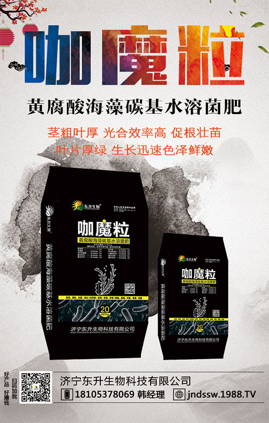 С����ʲô�g�Nֲ�r(sh��)��С���۷Nֲ����Ҫ�c(di��n)��