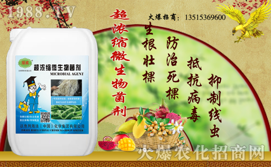 ��������(j��)���������A����ɫ�к����ٺ�1988.TV�ل�(chu��ng)���x����