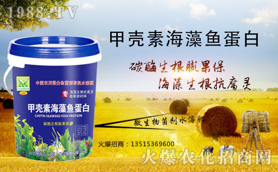 ��������(j��)���������A����ɫ�к����ٺ�1988.TV�ل�(chu��ng)���x����