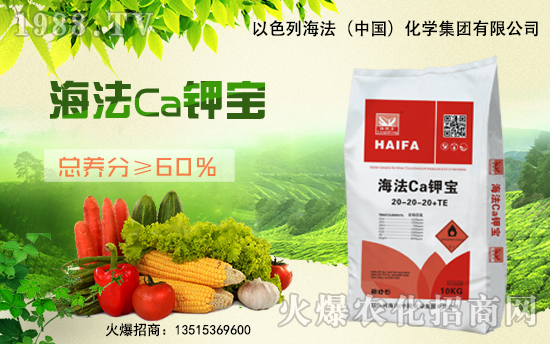 ��������(j��)���������A����ɫ�к����ٺ�1988.TV�ل�(chu��ng)���x�ͣ�