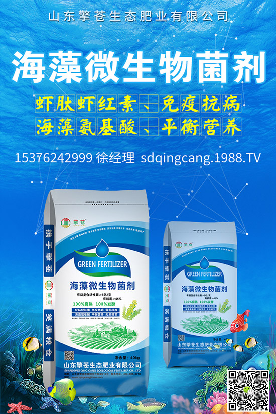     2020-4-8��(gu��)��(n��i)���@����һ������������������@�r(ji��)���(b��o)�r(ji��)��