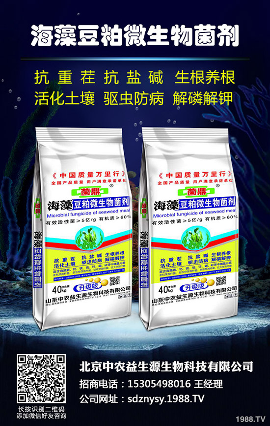     2020-4-8�Zʳ��ȫ�ٶ���������(f��)�Ϸ����鱻������ԭ�����@�