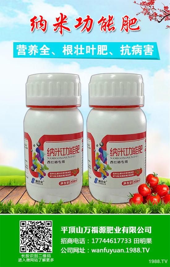 水蜜桃該如何種植？五步教你輕松種出肉厚多汁水蜜桃！