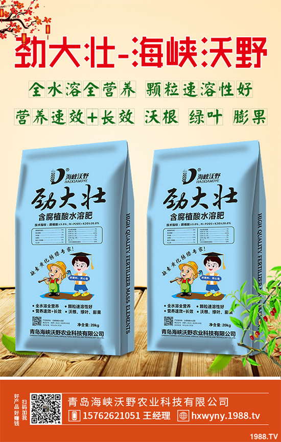 2020年黃精種植前景如何？如何種植才能獲得更高的經(jīng)濟(jì)收入？