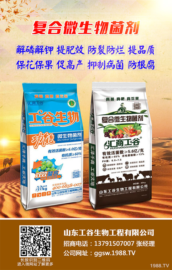 小麥條銹病正在肆虐，農(nóng)戶到底該咋辦？關(guān)鍵還是靠預(yù)防！