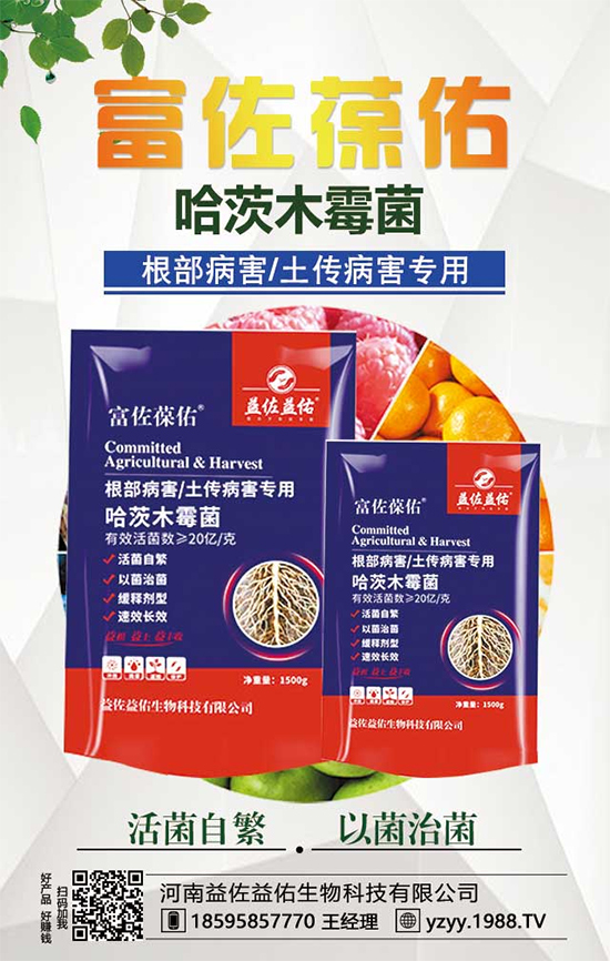 芋頭都有什么營養(yǎng)價值？吃芋頭有什么好處？