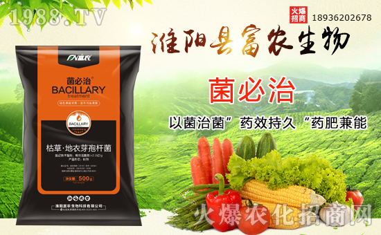 ���r(n��ng)����A����˻��r(n��ng)���W(w��ng)���y�ֹ��M(j��n)���T�����x����