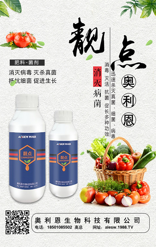 ���[���L��������c�����[�����_ʩ�ʷ���