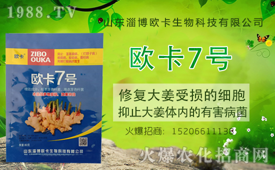 �����P(gu��n)ϵ�����A��ɽ�|�Ͳ��W�������m(x��)�s1988.TV�����\�����°l(f��)չ��