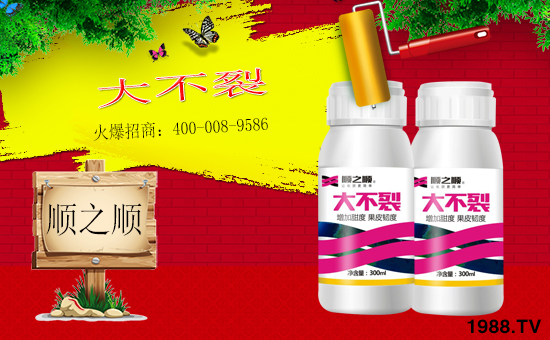 ���r(n��ng)���W(w��ng)ϲӭ�������������֮혻𱬁�(l��i)�u�����v�ɹ���