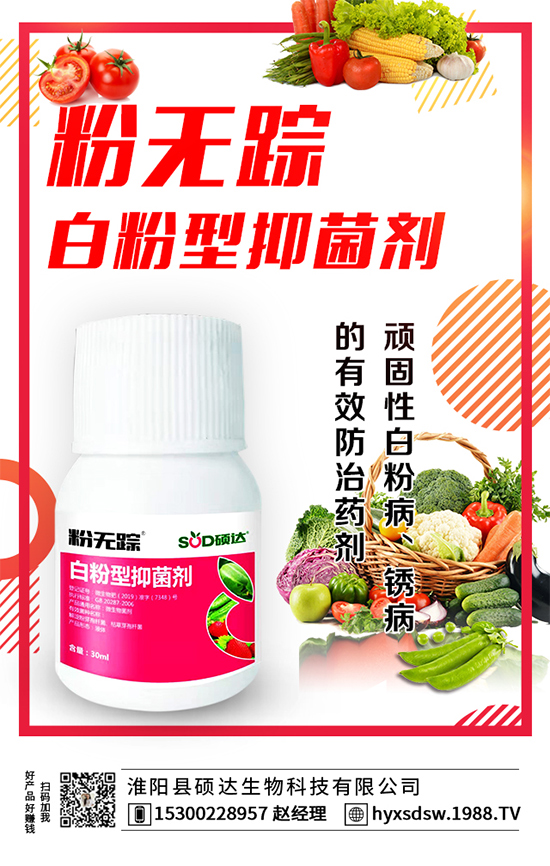 板栗怎么種植？板栗種植技術(shù)要點(diǎn)！