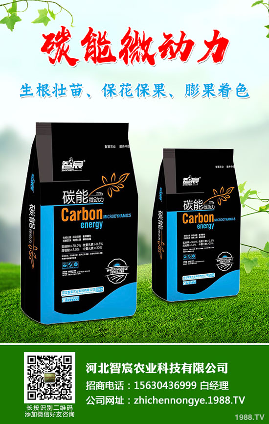 5月國內(nèi)磷肥市場何去何從？最新一銨二銨價格行情走勢預測！