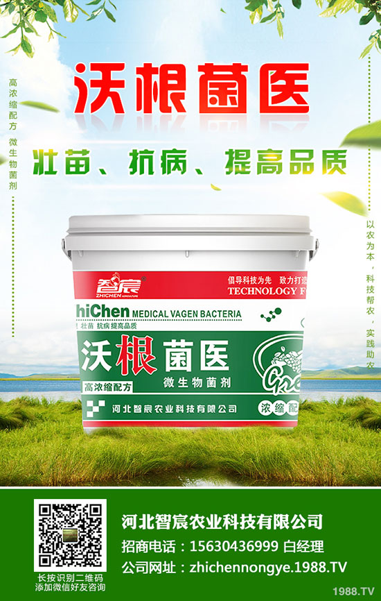 鉀肥價格整體偏低運(yùn)行！最新鉀肥行情分析2020-5-15！