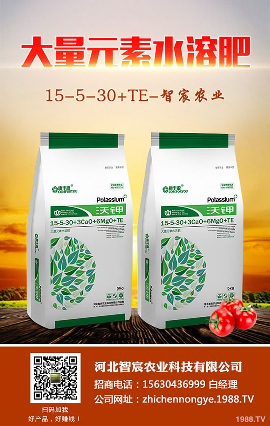 2020年5月15日今日最新國內(nèi)復(fù)合肥價格走勢及交易日評