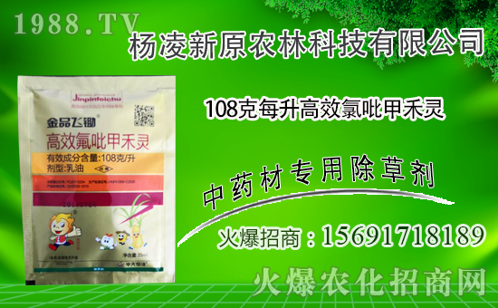 ��ԭ�r(n��ng)���״κ��s1988.TV���y�ֹ���(chu��ng)�������죡