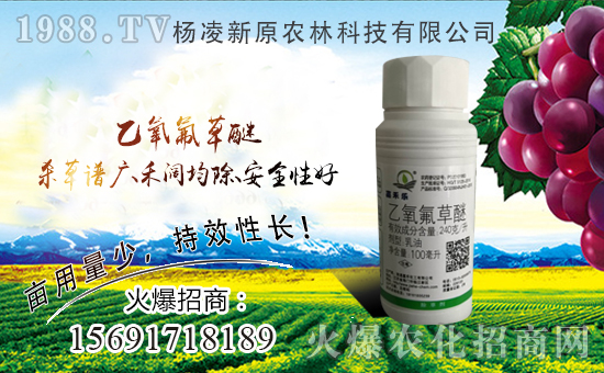 ��ԭ�r(n��ng)���״κ��s1988.TV���y�ֹ���(chu��ng)����������