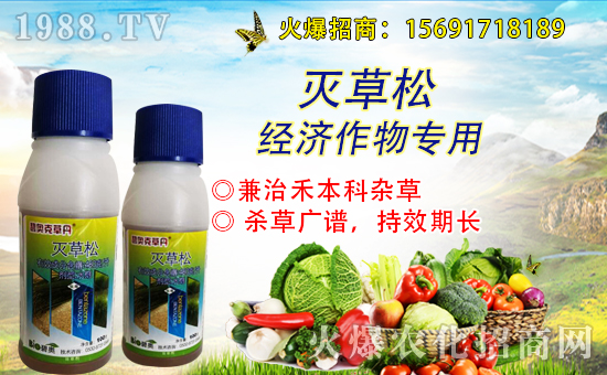 ��ԭ�r(n��ng)���״κ��s1988.TV���y�ֹ���(chu��ng)����������