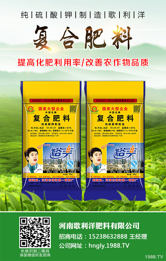 ���·��σr(ji��)���߄�(sh��)����