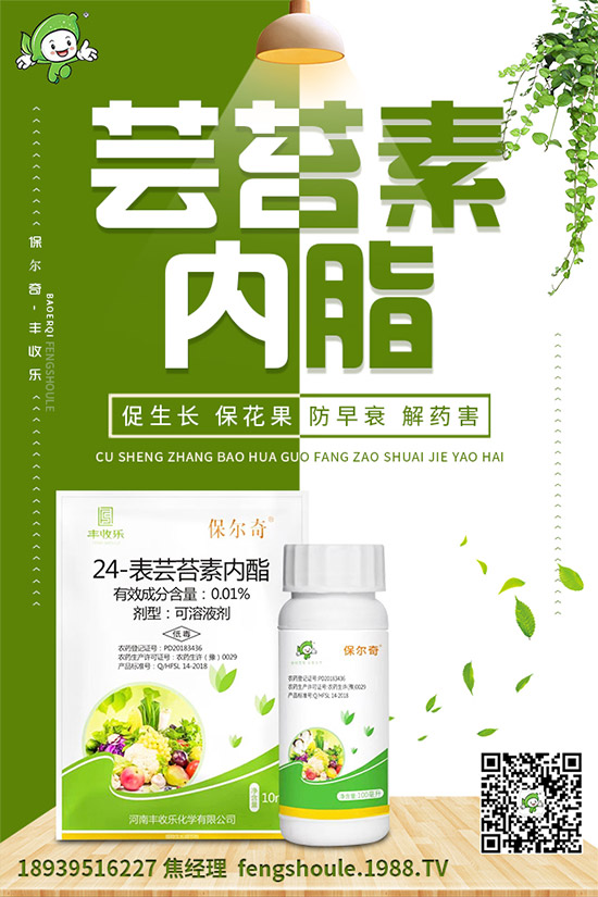 ��ɺ��ԓ��ô�Nֲ����ηNֲ�ܸ߮a(ch��n)����ɺ���߮a(ch��n)�Nֲ���g(sh��)