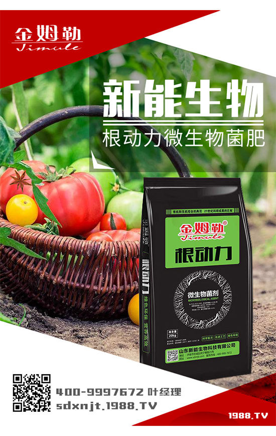 �������\�l(f��)չ��ɽ�|�����ٺ�1988.TV�_��(chu��ng)���x����