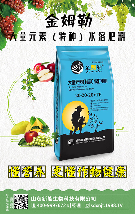 �������\�l(f��)չ��ɽ�|�����ٺ�1988.TV�_��(chu��ng)���x����