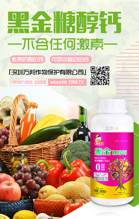 花期將至！棗樹落花落果該怎么辦？棗樹落花落果原因及防止措施！