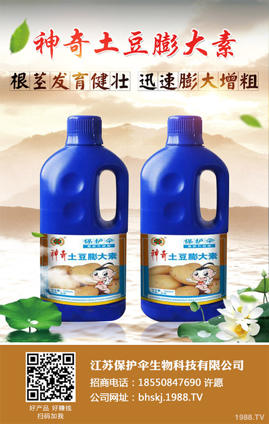 ����(n��i)���؃r(ji��)���Ј�(ch��ng)�����܈�(b��o)