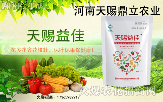 �r(n��ng)���W(w��ng)ϲӭ�»�飬�y�����n��������ؔ(c��i)��֮·��