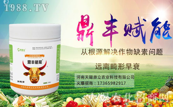 �r(n��ng)���W(w��ng)ϲӭ�»�����y�����n��������ؔ(c��i)��֮·��