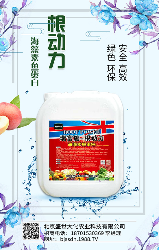 荔枝生長環(huán)境要求，荔枝苗嫁接方法及施肥原則！