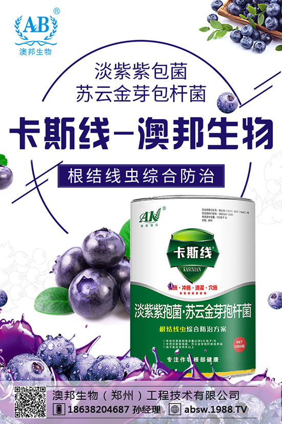 ���ײ��N������������������x�N�����ײ��Nע�������