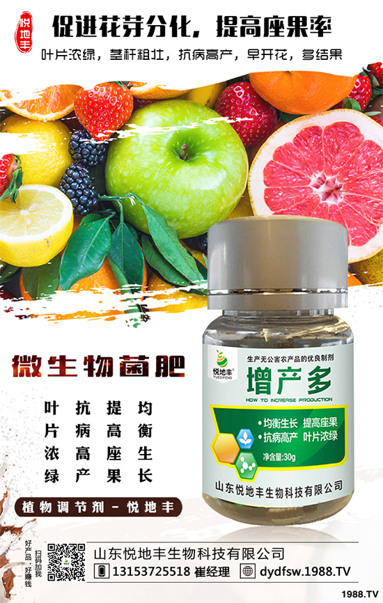 冰菜該如何栽培？怎樣種植能高產(chǎn)？冰菜的高產(chǎn)栽培技術(shù)