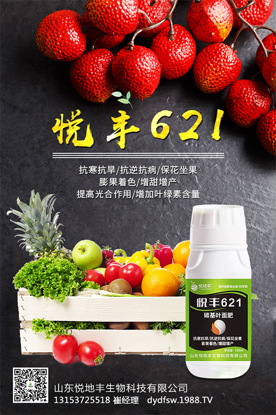 �t����֪��ԓ�����������