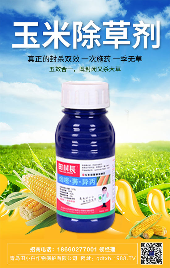 ���׷N�Ӱ�N��ʲô�������������ڹ���Ҫ�c(di��n)��