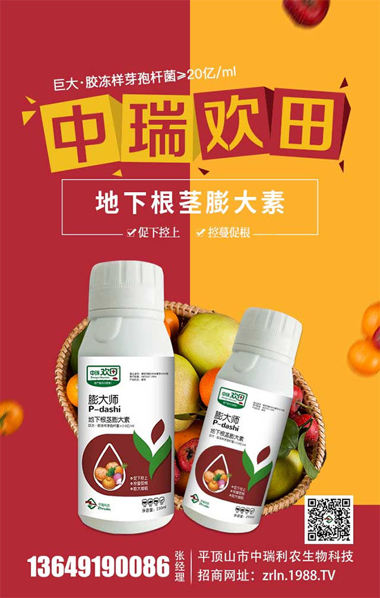 ����������(j��)���������r(n��ng)�ٺ����r(n��ng)�����̾W(w��ng)�������W(w��ng)�j(lu��)����·��