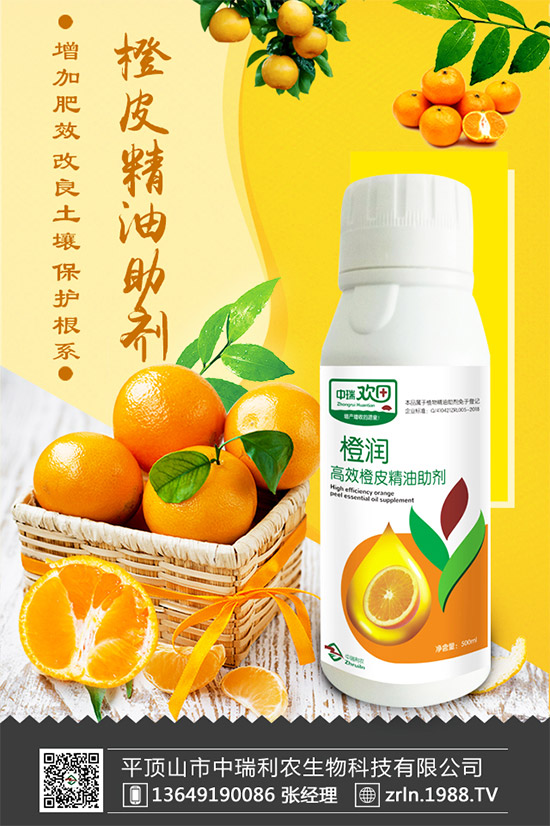 ����������(j��)���������r(n��ng)�ٺ����r(n��ng)�����̾W(w��ng)�������W(w��ng)�j(lu��)����·��