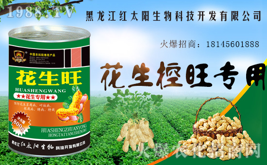 ����������(j��)���t̫�(y��ng)�����ٺ�1988.TV���y�ֹ��A2020��