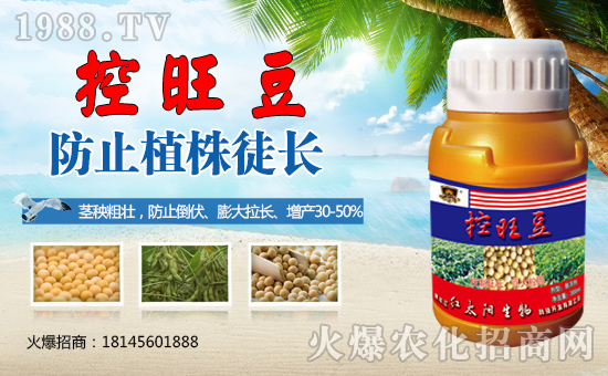 ����������(j��)���t̫�(y��ng)�����ٺ�1988.TV���y�ֹ��A2020��