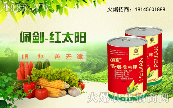 ����������(j��)���t̫�(y��ng)�����ٺ�1988.TV���y�ֹ��A2020��