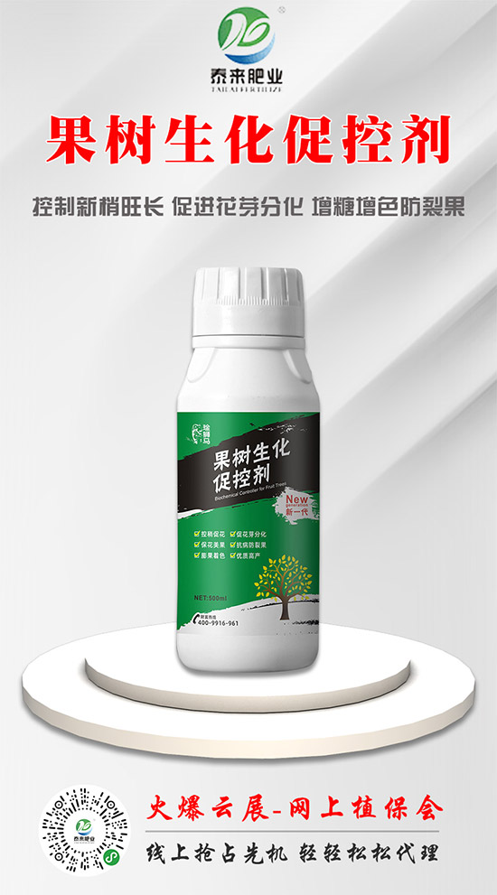 ̩��(l��i)��(gu��)�H�ʘI(y��)�ٺ����r(n��ng)���W(w��ng)������(sh��)�F(xi��n)�v�w��(m��ng)��