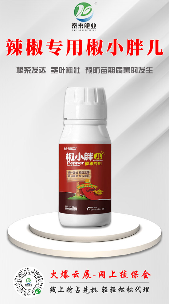 ̩��(l��i)��(gu��)�H�ʘI(y��)�ٺ����r(n��ng)���W(w��ng)������(sh��)�F(xi��n)�v�w��(m��ng)��