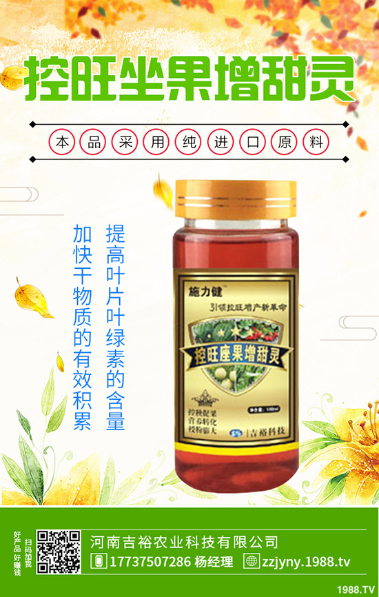 沙田柚種植需滿(mǎn)足哪些條件？沙田柚的種植方法有哪些？