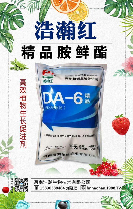 西紅柿摘葉常見誤區(qū)有哪些？西紅柿摘葉技巧！