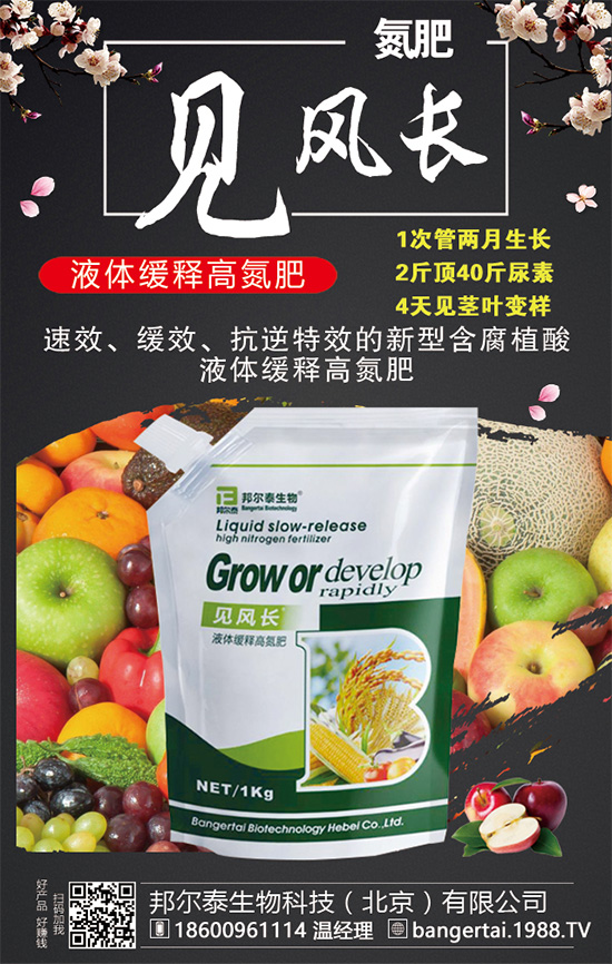 ���X������Щ���L(zh��ng)��(x��)�������X����ô�Nֲ��