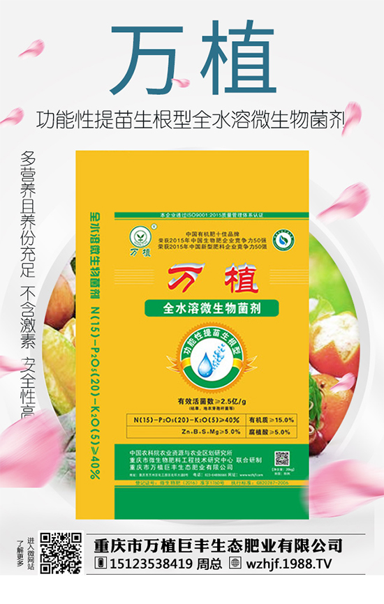     ��(zh��n)�Ժ������������fֲ���S�y��1988.TV�ل�(chu��ng)�x����