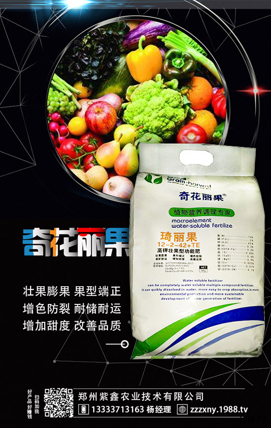 ��ݮĸ�綨ֲ������ʩ�ʣ����ӝ�ˮ��