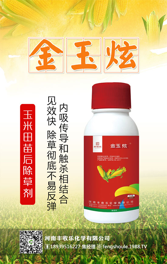 �������\�l(f��)չ�������S�՘��ٺ�1988.TV�_��(chu��ng)���x����